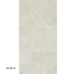 hc20 a
