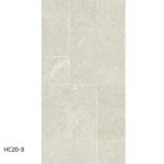 hc20 b