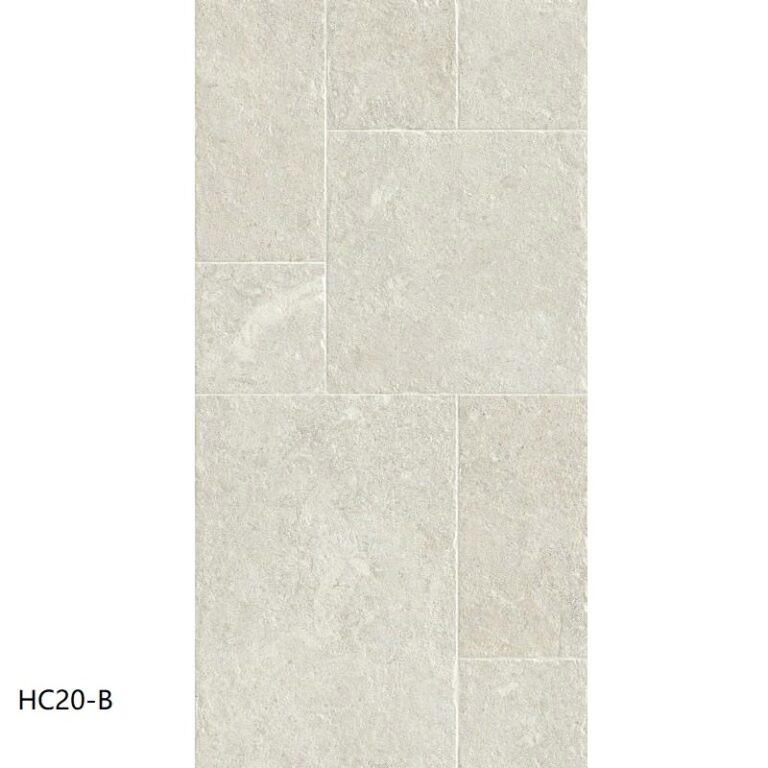 hc20 b