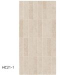 hc21 1