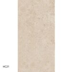 hc21