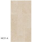 hc21 a