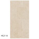 hc21 b