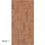 hc22 1
