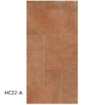 hc22 a
