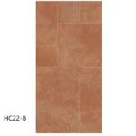 hc22 b