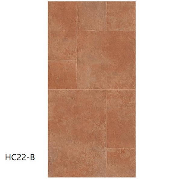 hc22 b