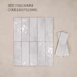 lna752300g