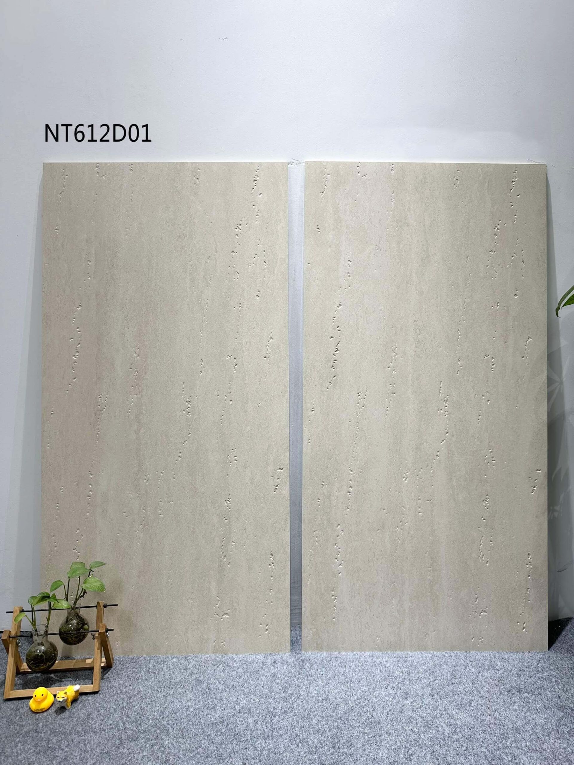 nt612d01 (3)
