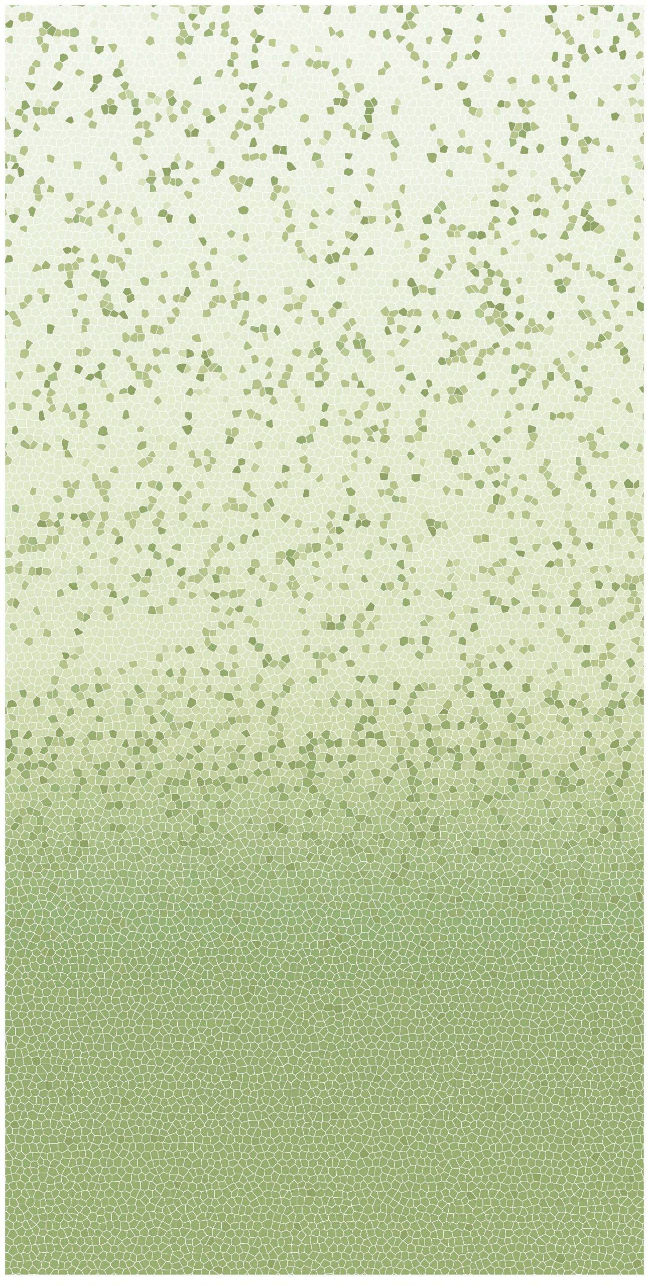 c2 yh612j2162 a b (1)