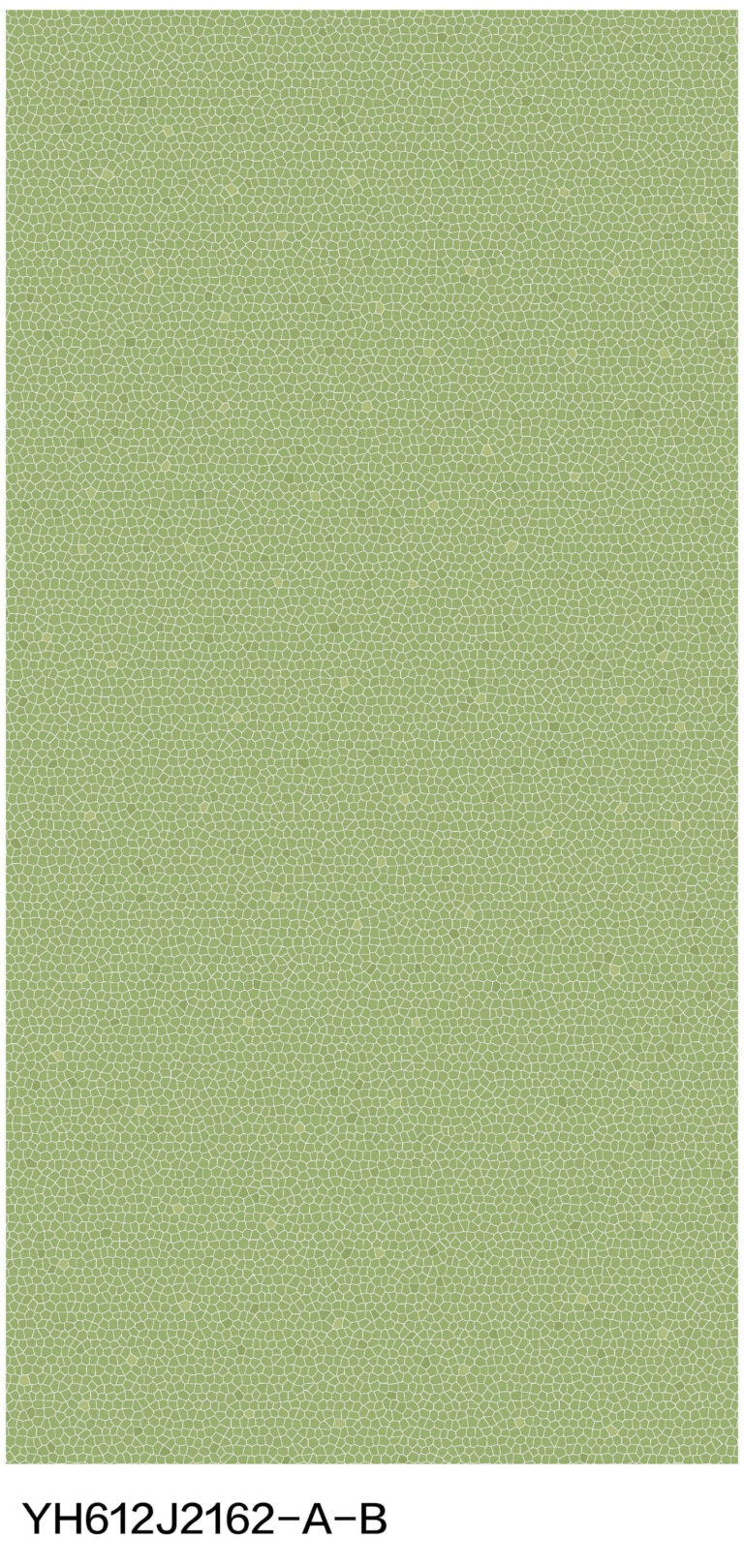 c2 yh612j2162 a b (2)