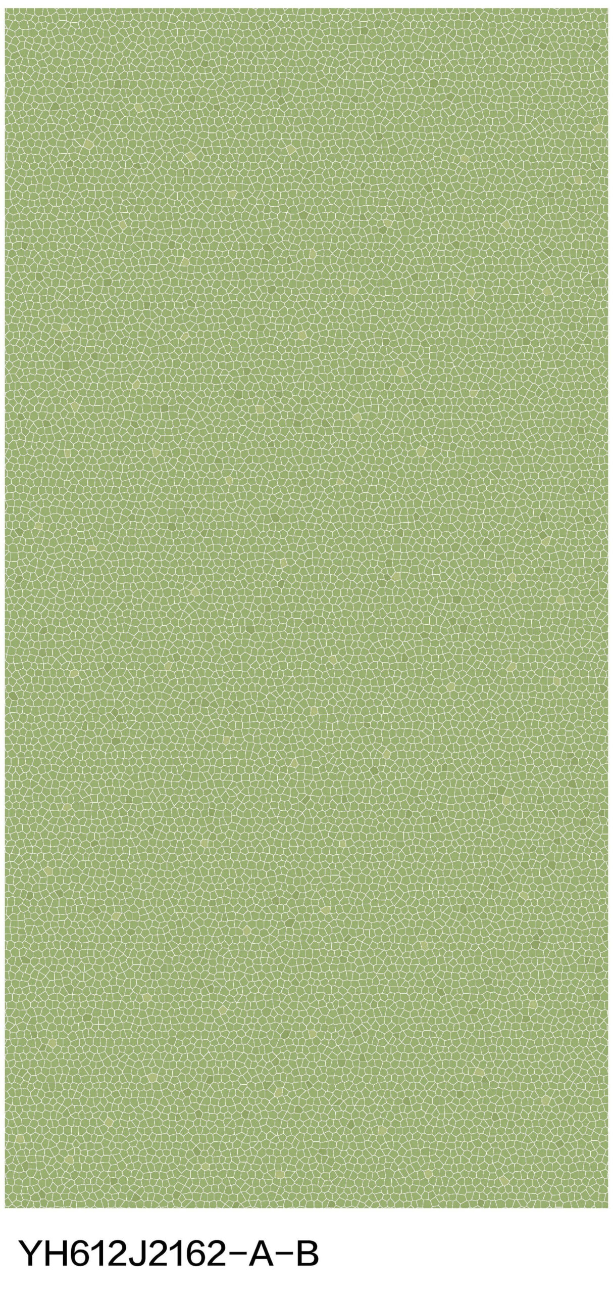 c2 yh612j2162 a b (2)