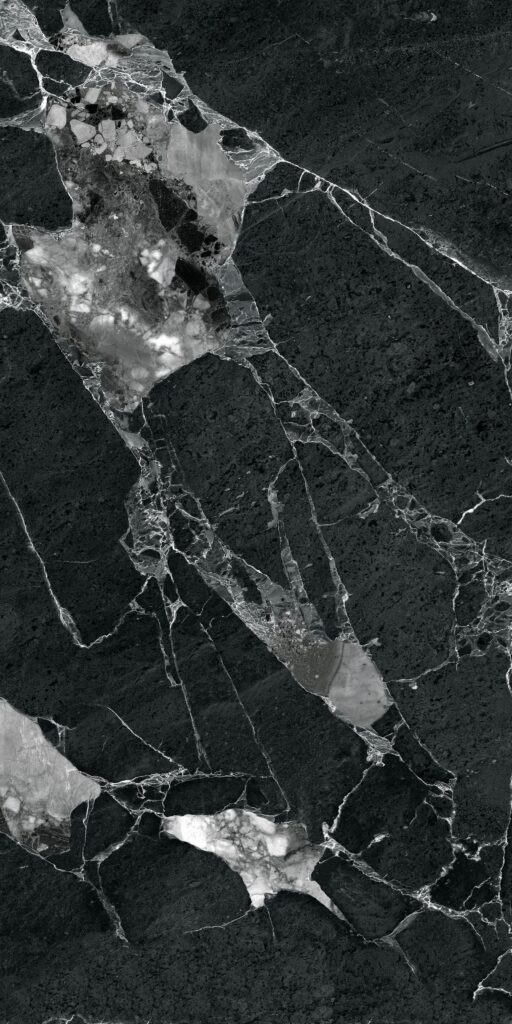 mn12011 (1)