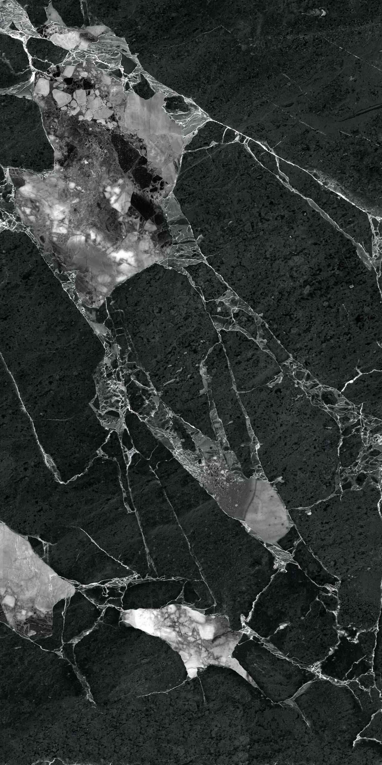 mn12011 (1)