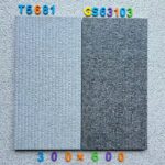 t5681+gs63103