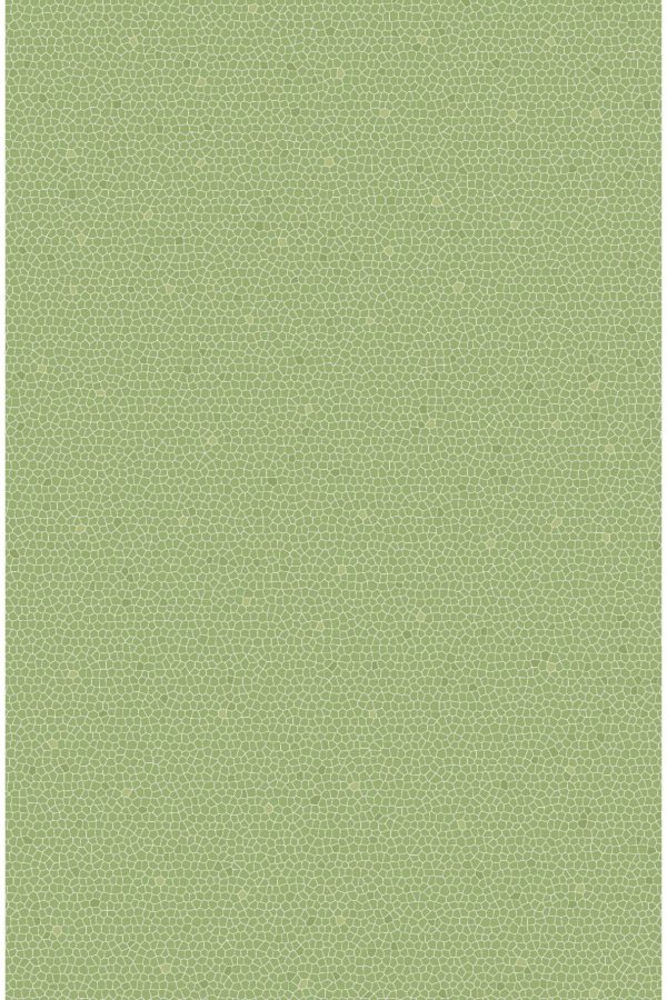 c2 yh612j2162 a b (2)